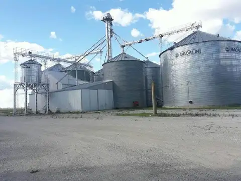Planta de silos y galpón Serodino