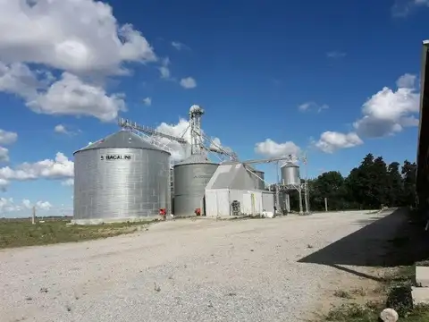 Planta de silos y galpón Serodino