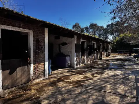 Venta- open door- Caballeriza- Boxes - Corrales - picadero