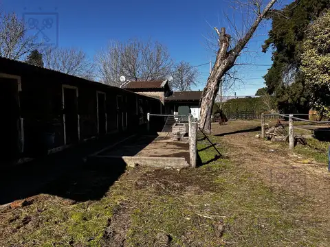 Venta- open door- Caballeriza- Boxes - Corrales - picadero