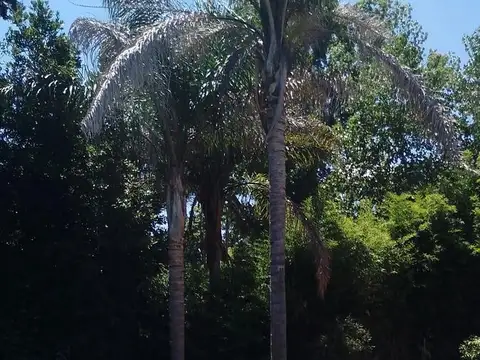 Charlone  al 3600 Barrio San Ignacio