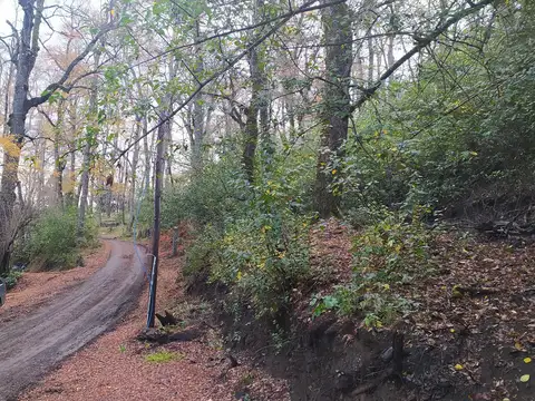 Terreno en Venta en San Martin de los Andes, USD 85.000
