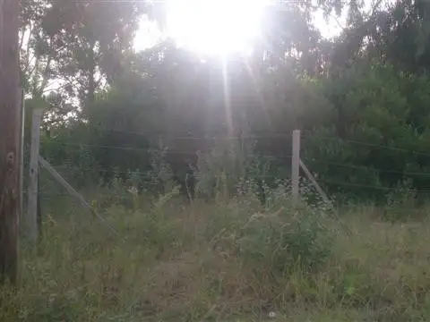 Terreno - Venta - Argentina, Ostende