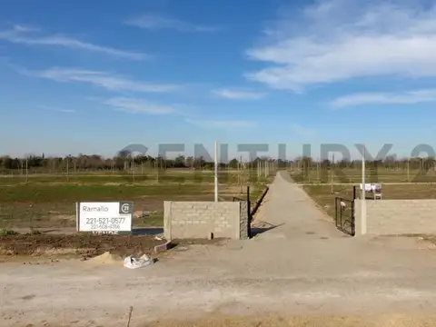 Terreno en Venta de 320,0 m2