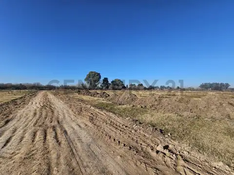 Lotes en Fincas Los Cerezos, Los Hornos