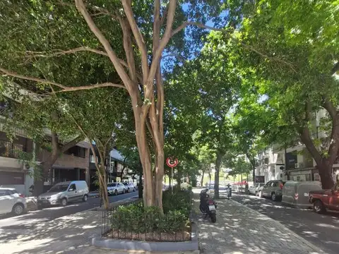 Monoambiente en Alquiler en Palermo - Las Cañitas.