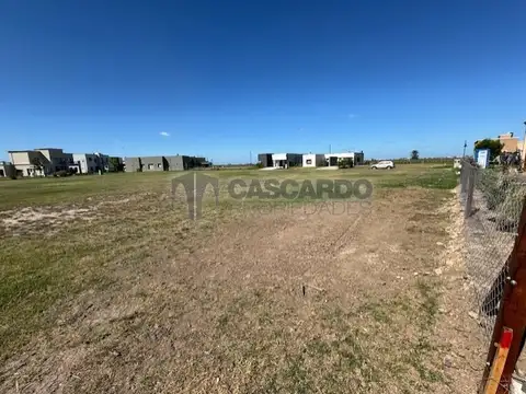 Terreno en Venta 43  mts Frente