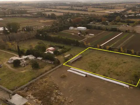 Terreno en Alquiler de 12000,0 m2