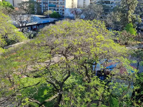 Departamento en Alquiler 9 años