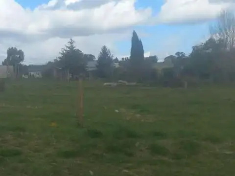 Francisco Vistalli e/ La Merced y Los Huesos