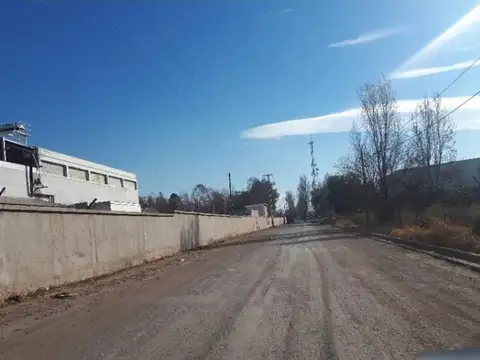 Dorrego