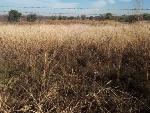 LOTE INDUSTRIAL EN COQUIMBITO - MAIPU