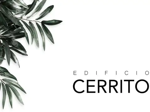 MONOAMBIENTES PREMIUM ABASTO 