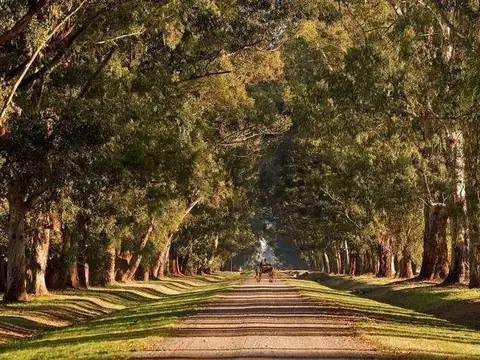 Terreno en Venta en Carlos Spegazzini, Partido de Ezeiza