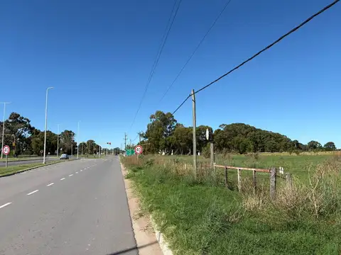 14 Has sobre Ruta 1 y calle 209