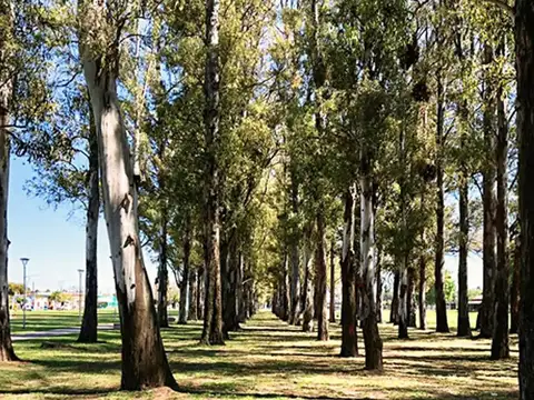 Terreno en Venta de 300,0 m2