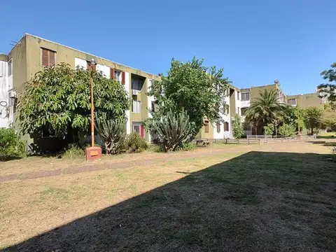 Mayor Olivero 1400
