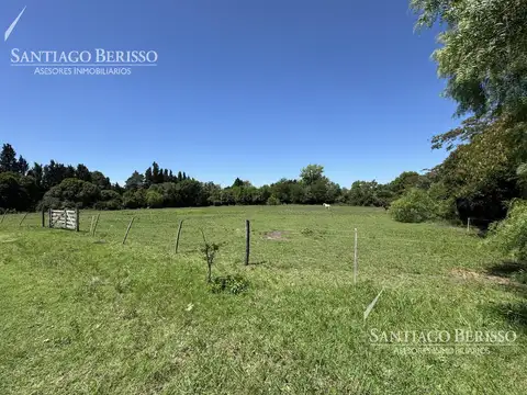 BARRIO MONTEVERDE - LOS CARDALES