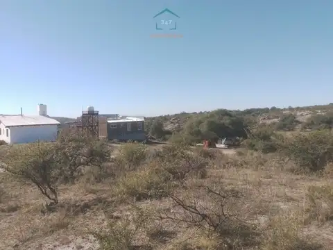 callmayo