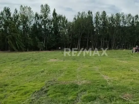 Calle 9 & María Celina Cichero,