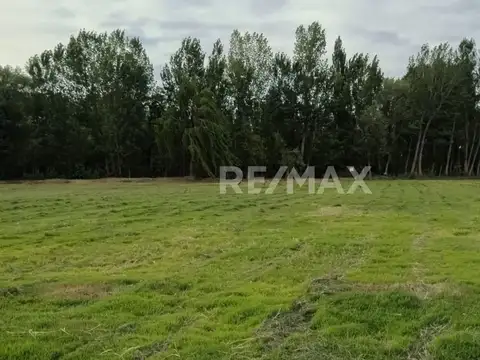 VENTA LOTE 16.407M2, ESQUINA CALLE 9 CENTENARIO