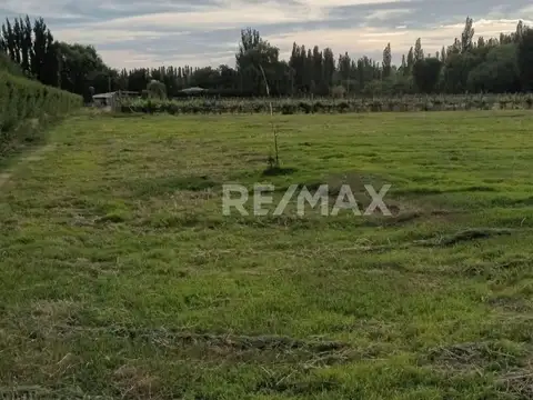 Terreno en Venta en Centenario, USD 180.000