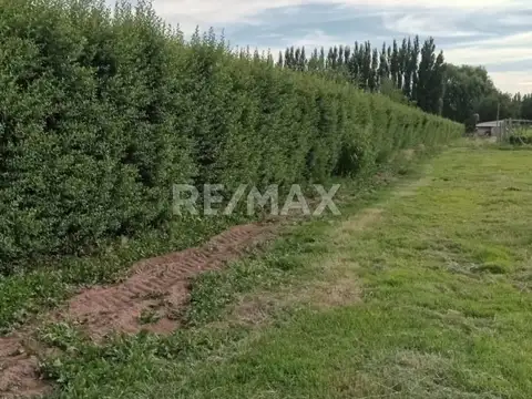 Calle 9 & María Celina Cichero,