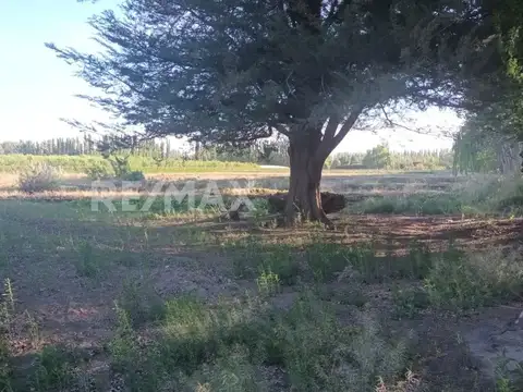 Terreno en Venta de 16407,0 m2