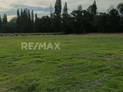 Terreno en Venta de 16407,0 m2