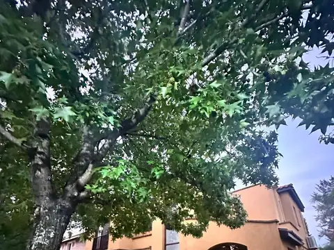 Casa en Alquiler Temporal con 3 cocheras