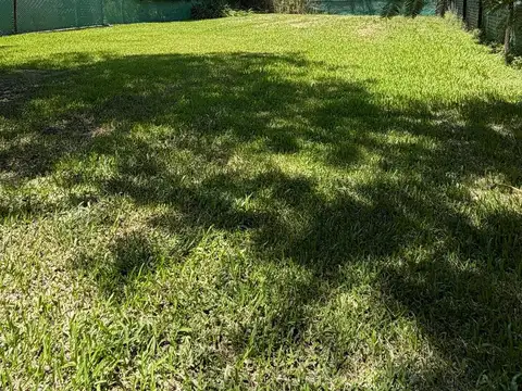 Terreno en Venta 29  mts Fondo