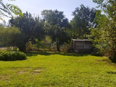 Rita De Ibarlucea 3513