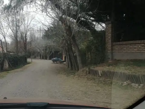 Guardia Vieja y los Arboles 100