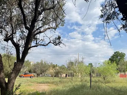 Terreno en Venta de 824,0 m2