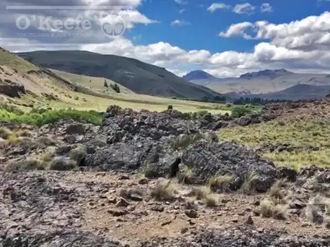 Chacra en venta de 1.57 Has sobre Río Limay  Patagonia Argentina