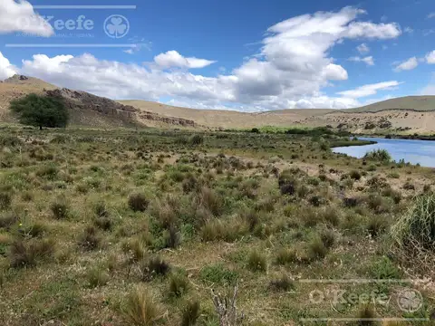 Bariloche  chacra Rio Limay 1,57 Has