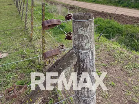 1,5ha EN CHOVET SOBRE NUEVA RUTA 96 EN VENTA