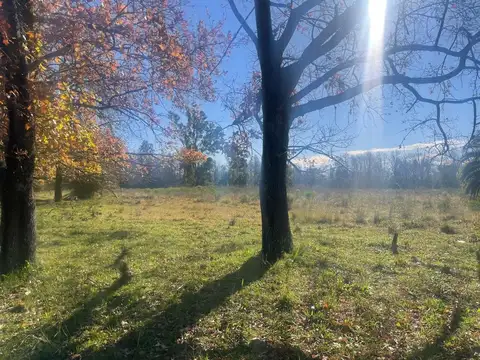 HECTAREAS CAMPO EN VENTA ARTURO SEGUI 