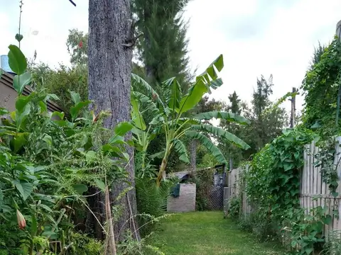 CASA EN ALQUILER EN BENAVIDES - MAROTO PROPIEDAD