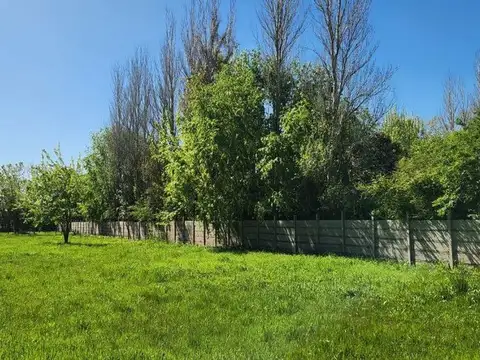 Terreno en Venta de 3962,0 m2