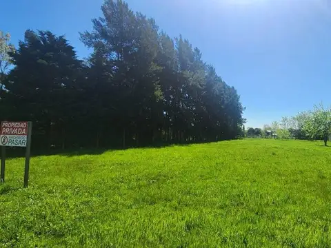 Terreno en Venta en Carlos Spegazzini, USD 79.000