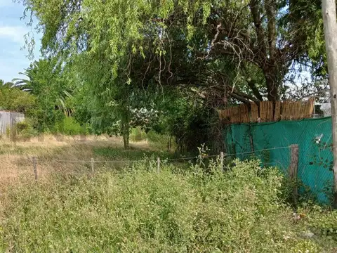 LOTE EN VENTA 16 X 50m, 800m2 497 e/ 6 y 7 Villa Castells