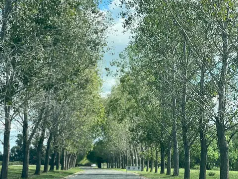 Lote a la venta en Everlinks Golf & Country,Lujan