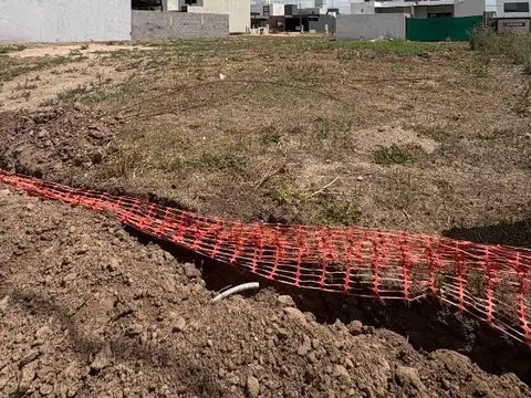 Docta Avenida Malagueño