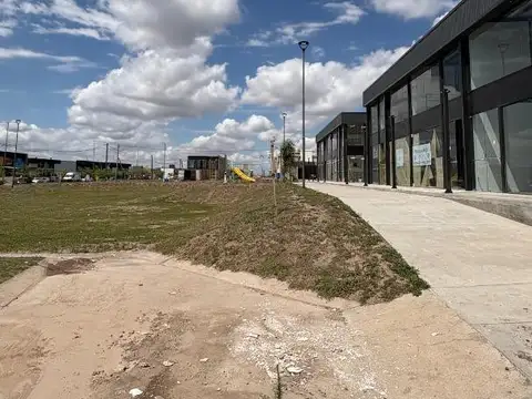 Docta Avenida Malagueño