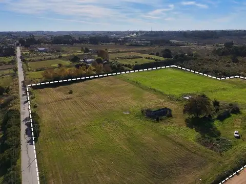 Venta  Chacra  Toledo 7 hectáreas