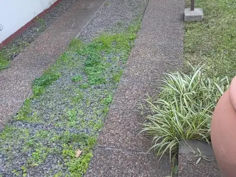Casa en lote propio con jardin