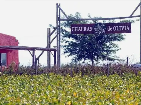 Hermoso terreno en  de 1,5 has en Club de Chacras | Reserva 