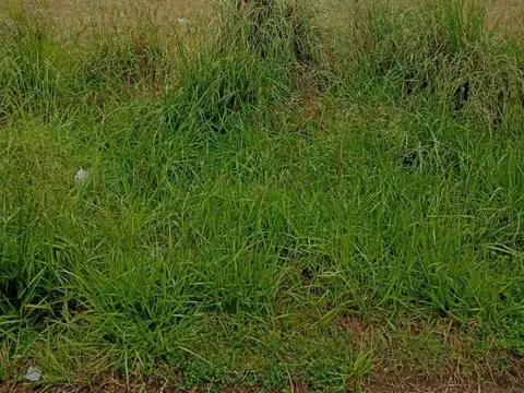 Terreno en Venta en Las Toninas, USD 5.000