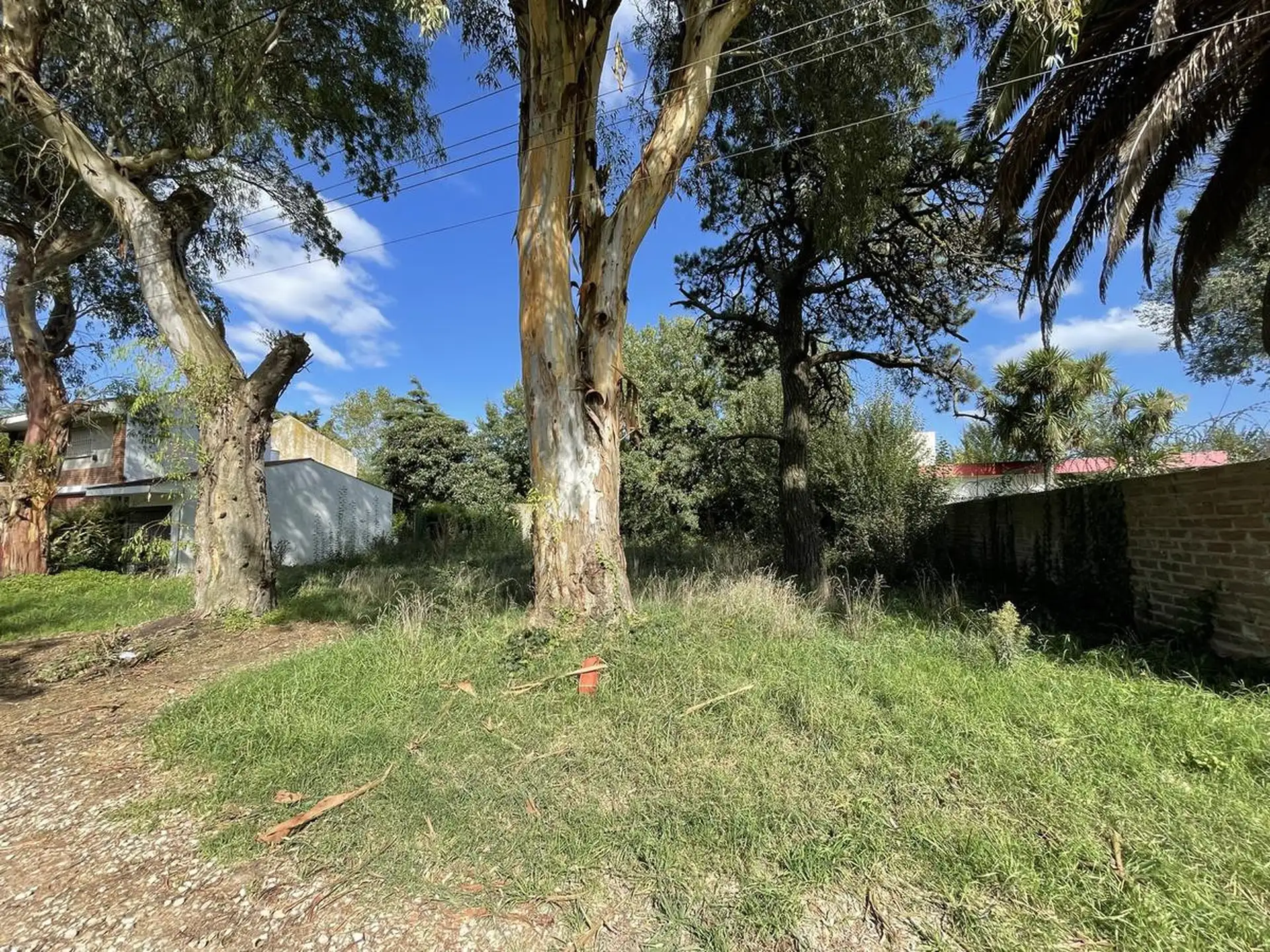 Dos lotes en el barrio jardín La Florida